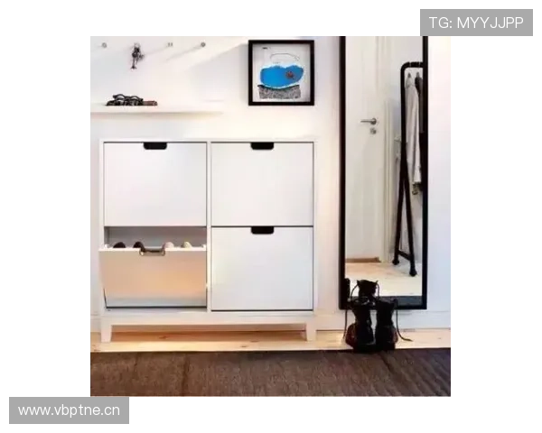 任子威下赛季的鞋柜不知道得有多夸张，普通人一辈子攒不出一双价钱吧？